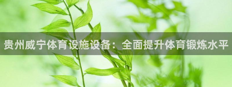 意昂体育3招商电话地址查询：贵州威宁体育设施设备：全