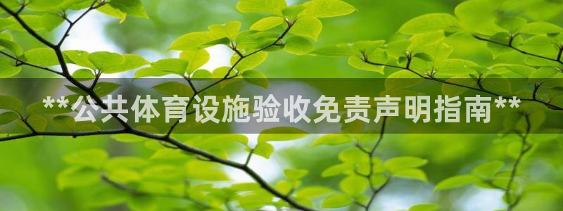 意昂体育3招商电话：**公共体育设施验收免责声明指南