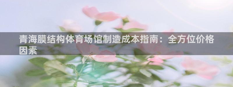 意昂体育3是干嘛的公司：青海膜结构体育场馆制造成本指