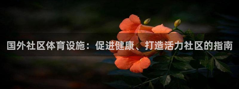 意昂体育3平台是正规平台吗安全吗：国外社区体育设施：