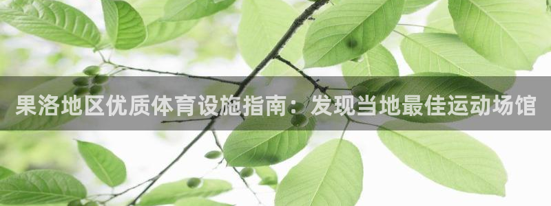 意昂体育3平台注册流程视频：果洛地区优质体育设施指南：发现当