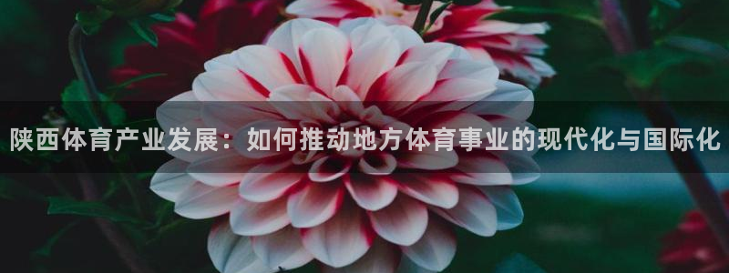 德国意昂3集团