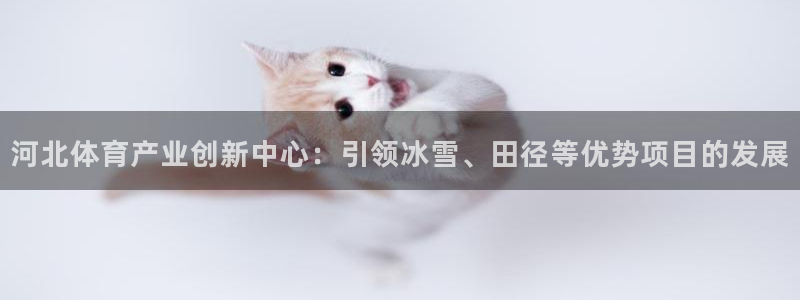 意昂3集团