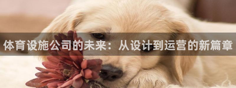 意昂3新能源
