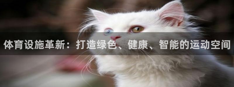 意昂3集团官网网址