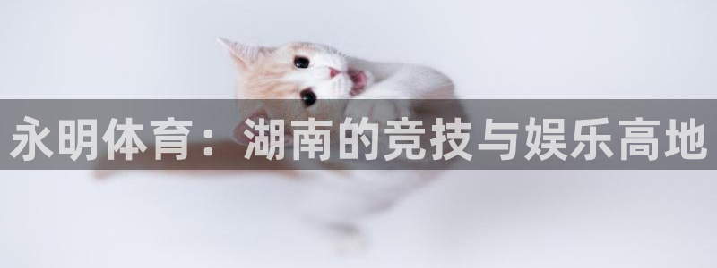 意昂3娱乐首页网站大全