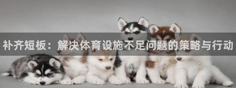 意昂3娱乐代理怎么样