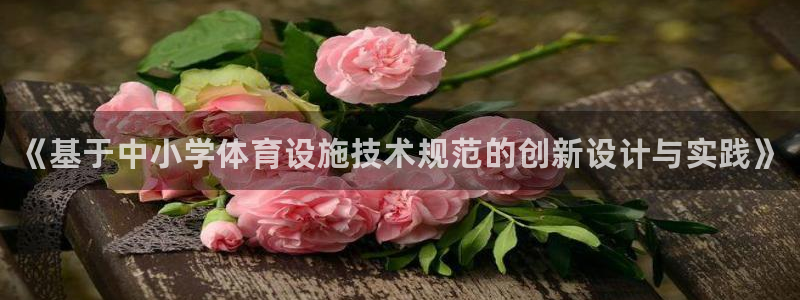 意昂3娱乐代理怎么样：《基于中小学体育设施技术规范的创新设计