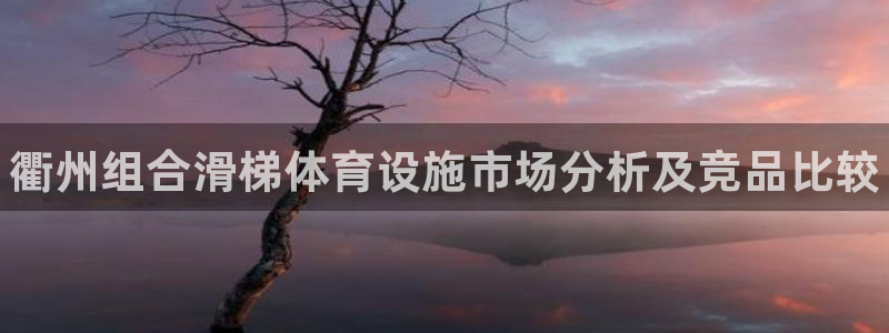意昂体育3联系电话：衢州组合滑梯体育设施市场分析及竞品比较