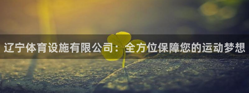 意昂3娱乐40996：辽宁体育设施有限公司：全方位保障您的运
