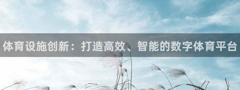 意昂3娱乐首页网站大全：体育设施创新：打造高效、智能的数字体