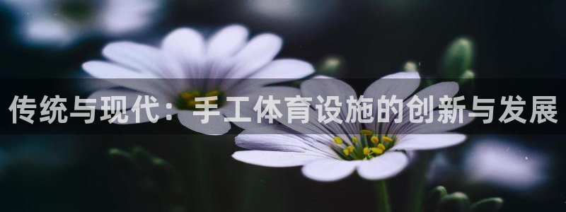 意昂3娱乐平台：传统与现代：手工体育设施的创新与发展