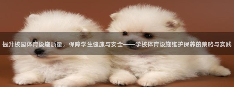 意昂体育3平台注册要钱吗：提升校园体育设施质量，保障