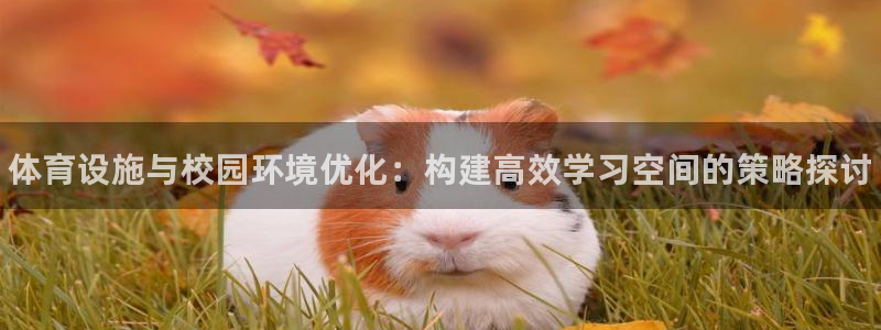 意昂3集团官网首页网址：体育设施与校园环境优化：构建
