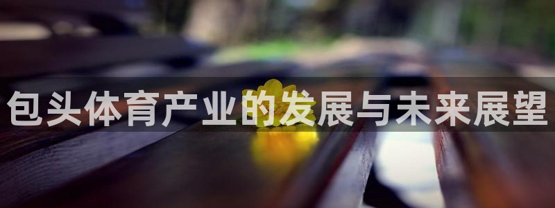意昂体育3平台：包头体育产业的发展与未来展望