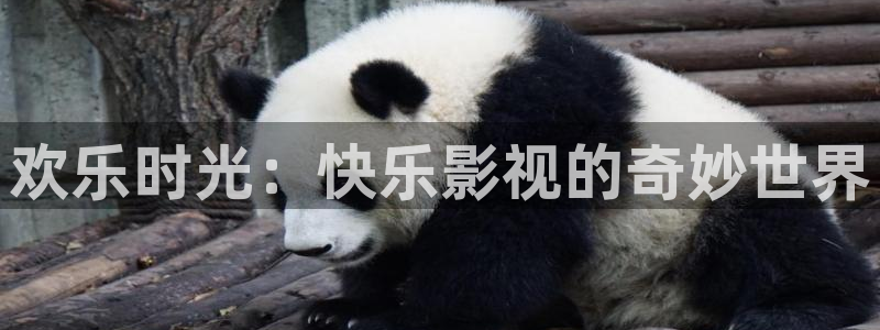 光棍影院伊人网