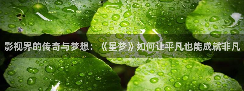 国产伊人影院在线观看