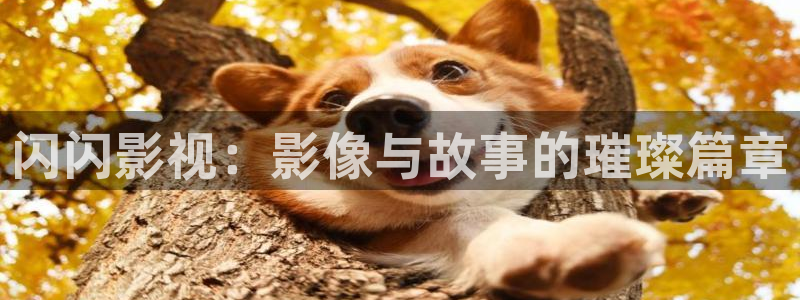伊人成色影院