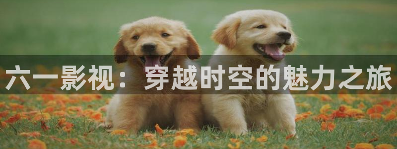 伊人影院看电影