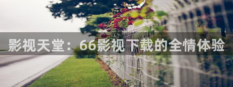 伊人365影院