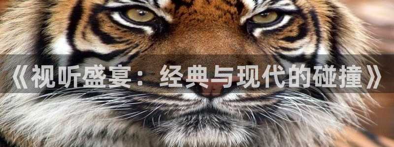 伊人影院欧美